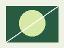 Original 128 by 96 generated test image with a circle and diagonal line